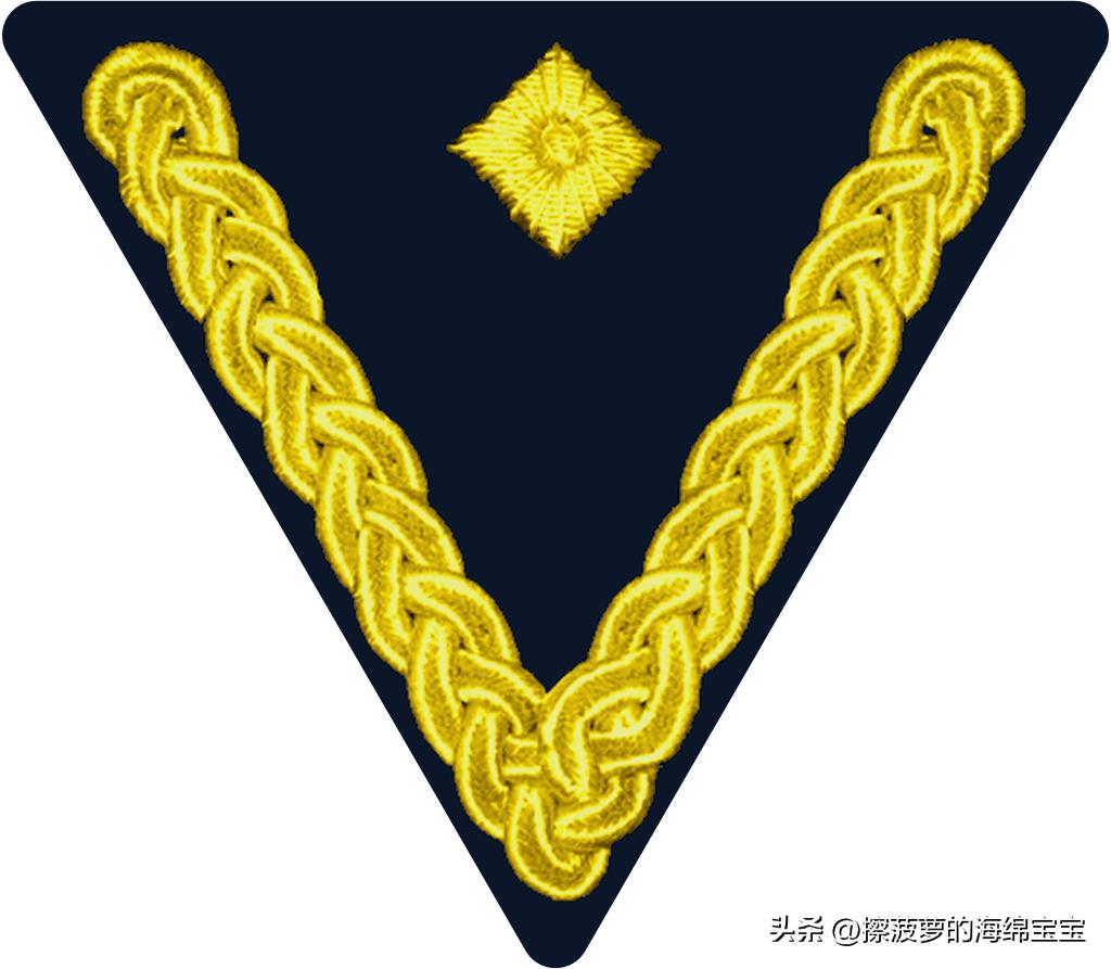二战德国国防军医疗兵军衔标志