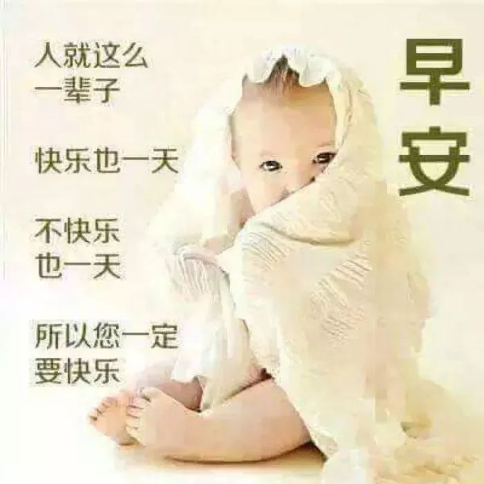 精致优美早上好的微信问候图片,微信祝福语早上好动态图片