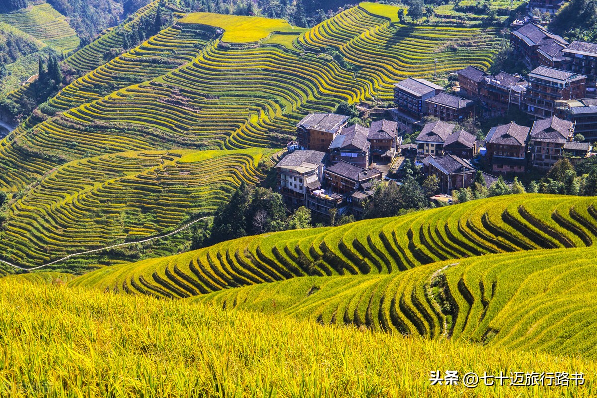 广西龙脊梯田旅行视频,龙脊梯田2020年国庆