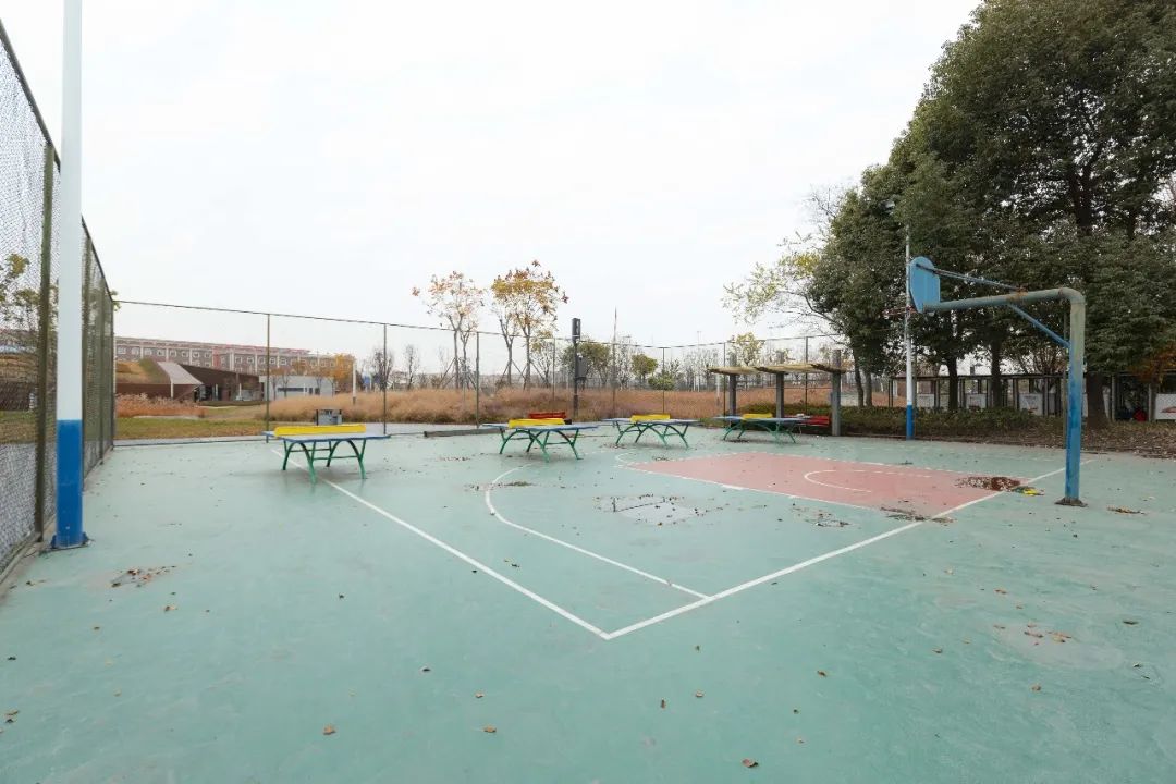 10个城市宝藏,成都还有哪些宝藏公园