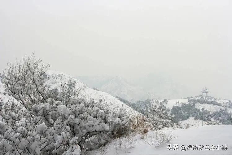 张家口周边自驾游一日游,张家口市内好玩的地方推荐一日游