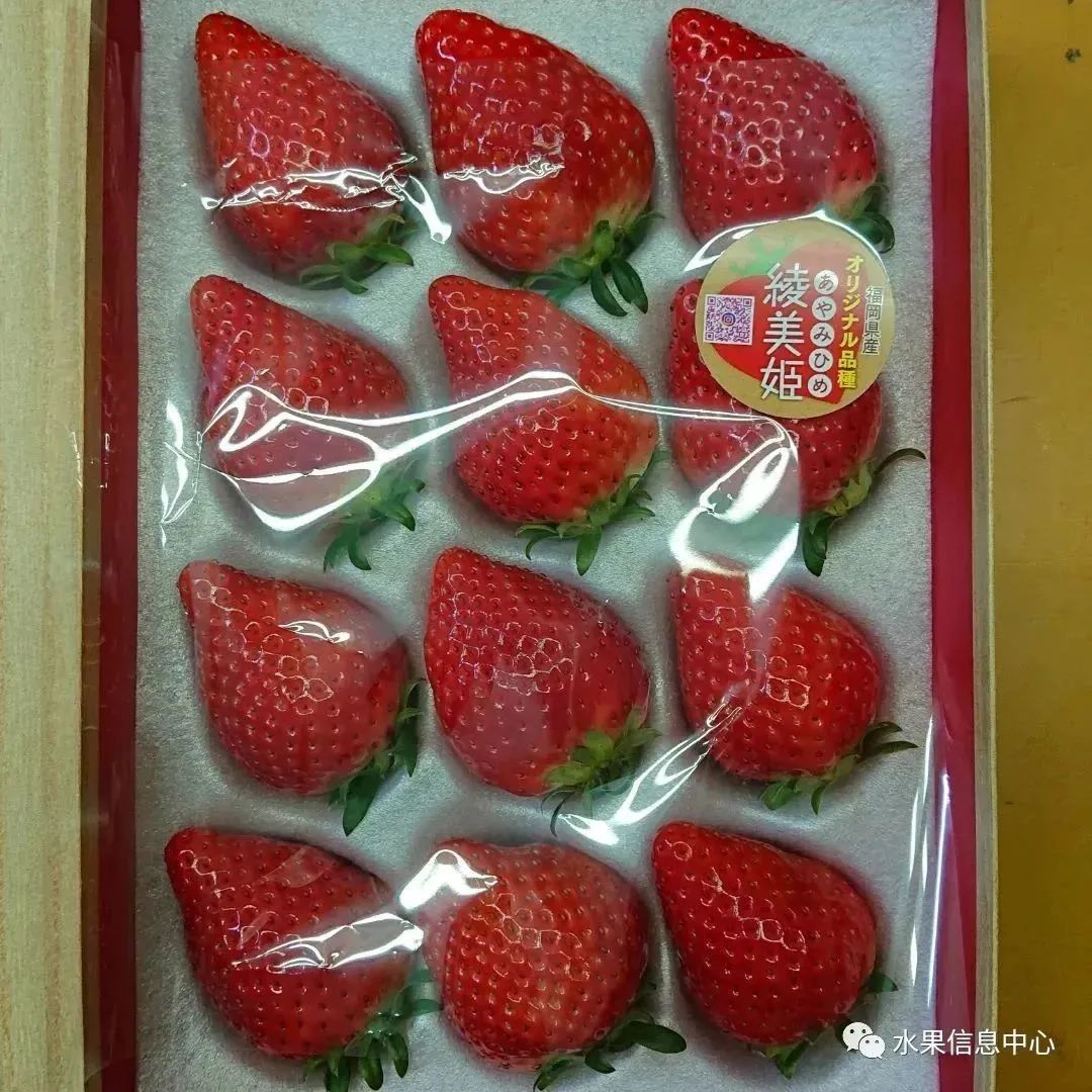 日本草莓评选大赛,排名第一的草莓品种是什么?