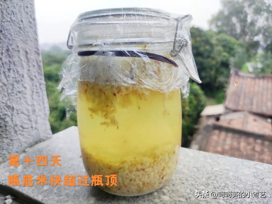 中秋将至,教你酿制桂花米酒,芳香醇厚,清爽怡人,满口都是花香