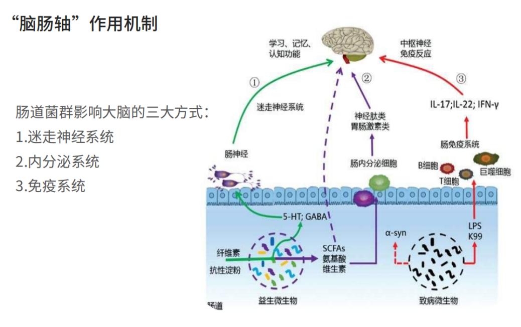 上药信谊益生菌p1000,上药信谊h5益生菌副作用