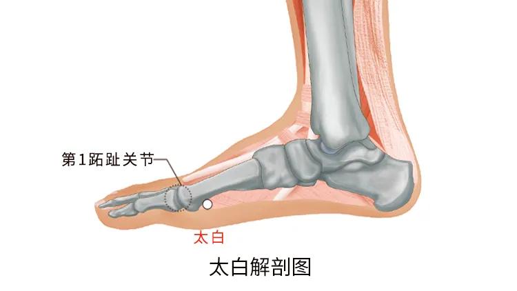 惊蛰节气预示什么,惊蛰让阳气生发更顺畅