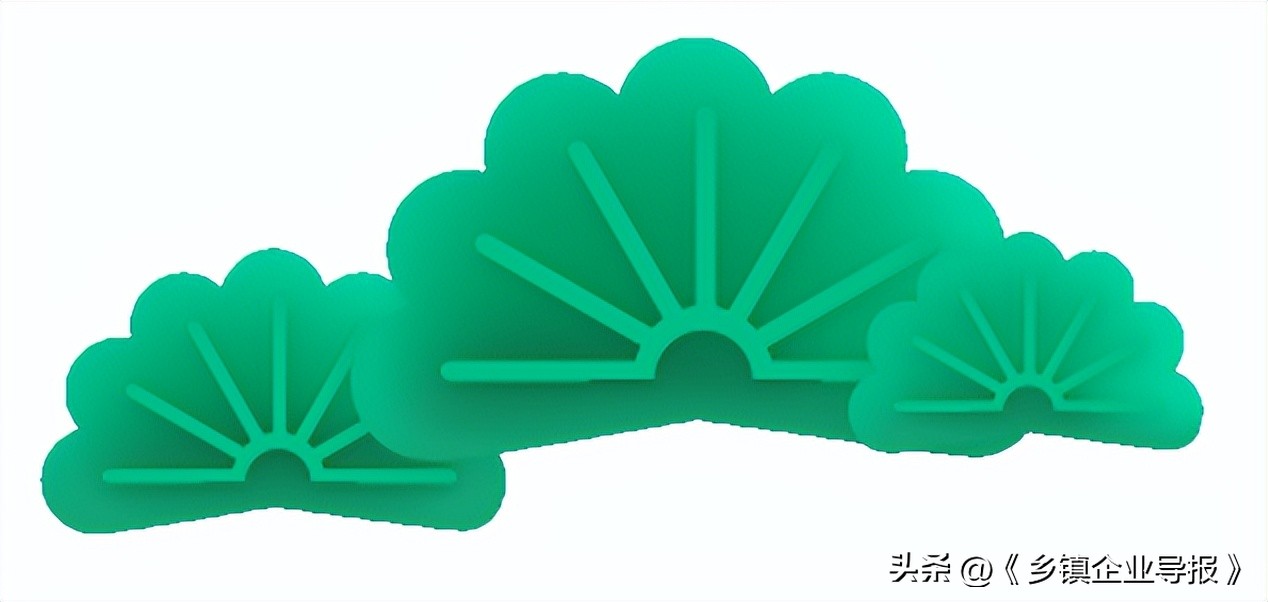 乡村振兴赋能计划人才典型案例,乡村振兴之文化振兴案例