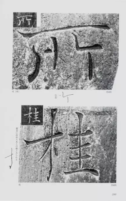 宸ョ瑪鐢绘潹鏅箟鐢诲唽,鏉滈箖鏉ㄦ櫘涔夊畬鏁寸増