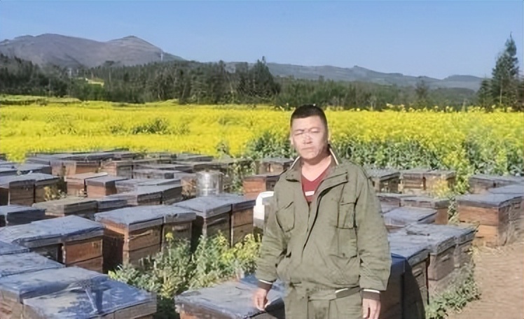 养蜂行业的利润有多少,养蜂业效益分析