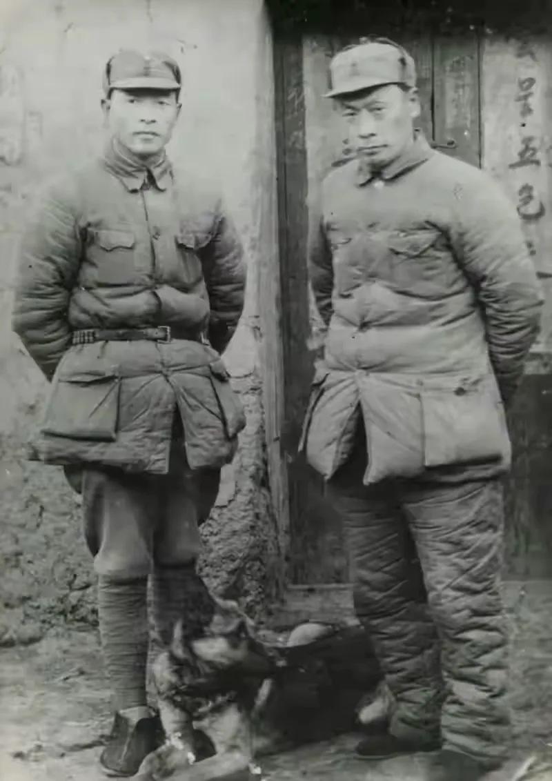 陈毅和张茜是什么电视剧,陈毅和张茜影视剧