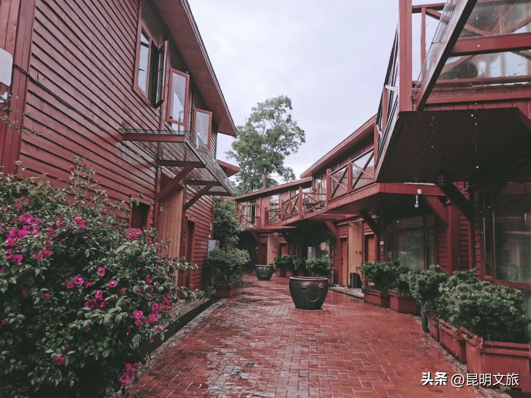 昆明一日游小众打卡景点冬天,小众的昆明周边度假景点