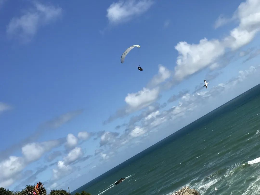 写给不被疫情束缚的心:用文字“云”游新西兰全境