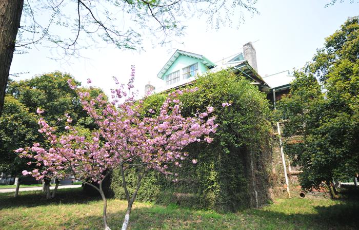 一起看校|苏州大学，一所优雅而灵动的大学