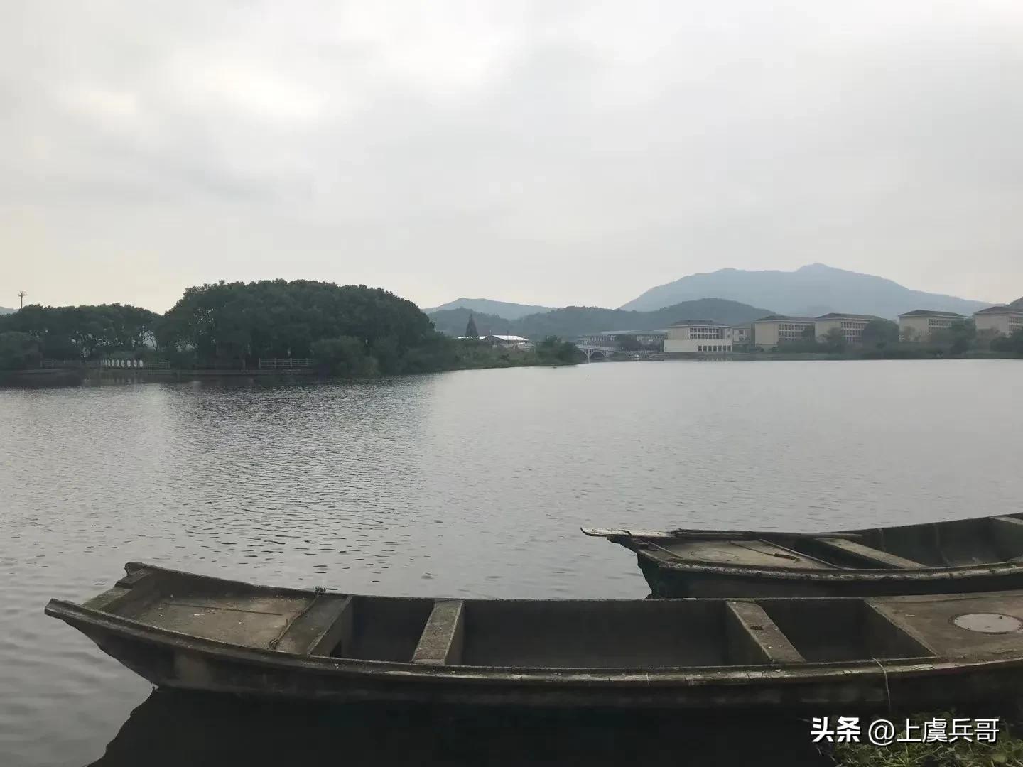 上虞毛大蟹,上虞海滩蟹