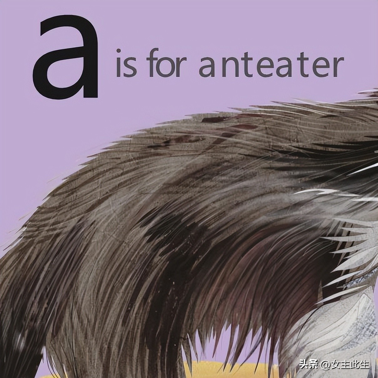 认识小动物的英语绘本,关于动物的英语绘本大全