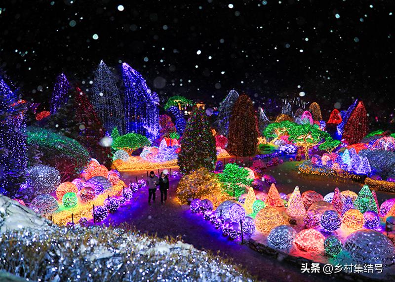 韩国晨静花园,韩国晨静树木园设计方案