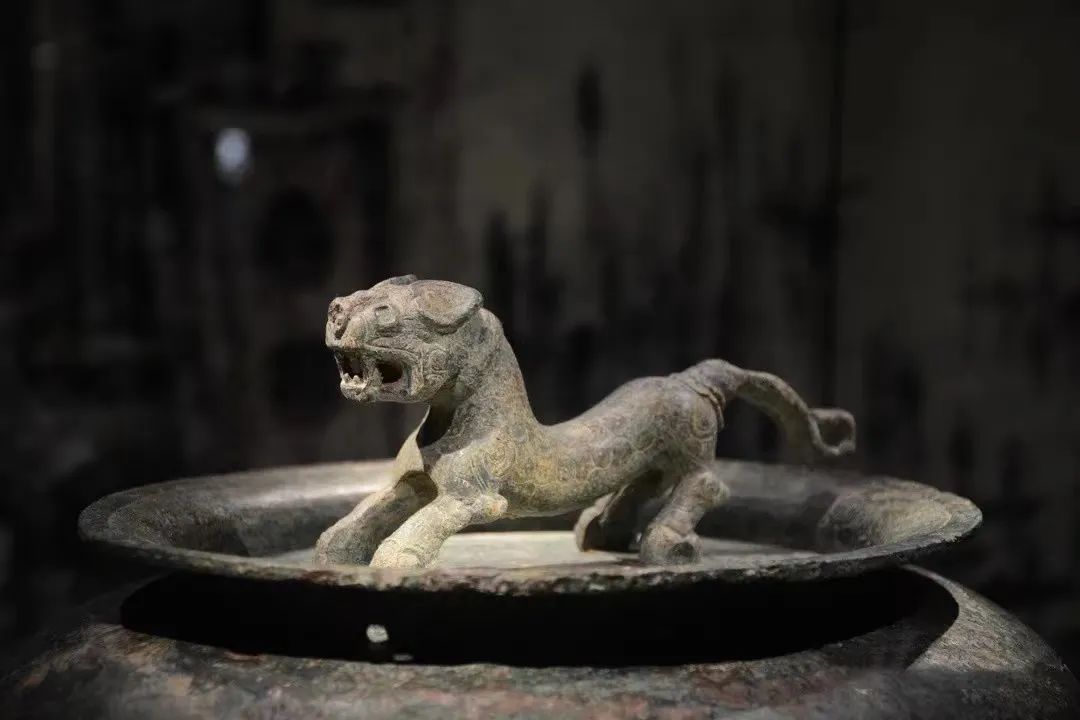 陕历博在博物界的地位有多高,陕历博有多牛