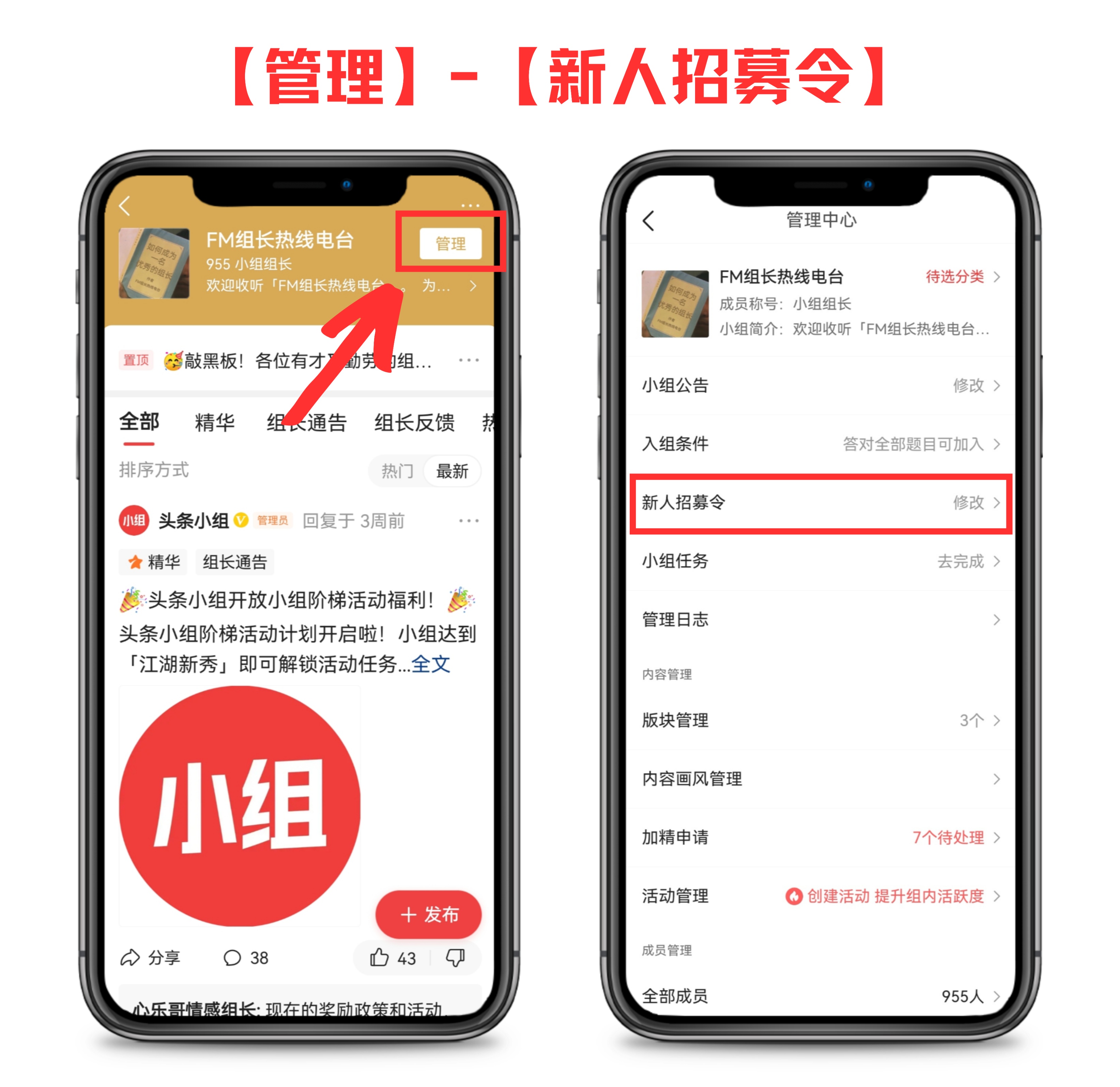 组长招募令,组长团队建设及人才培养怎么写