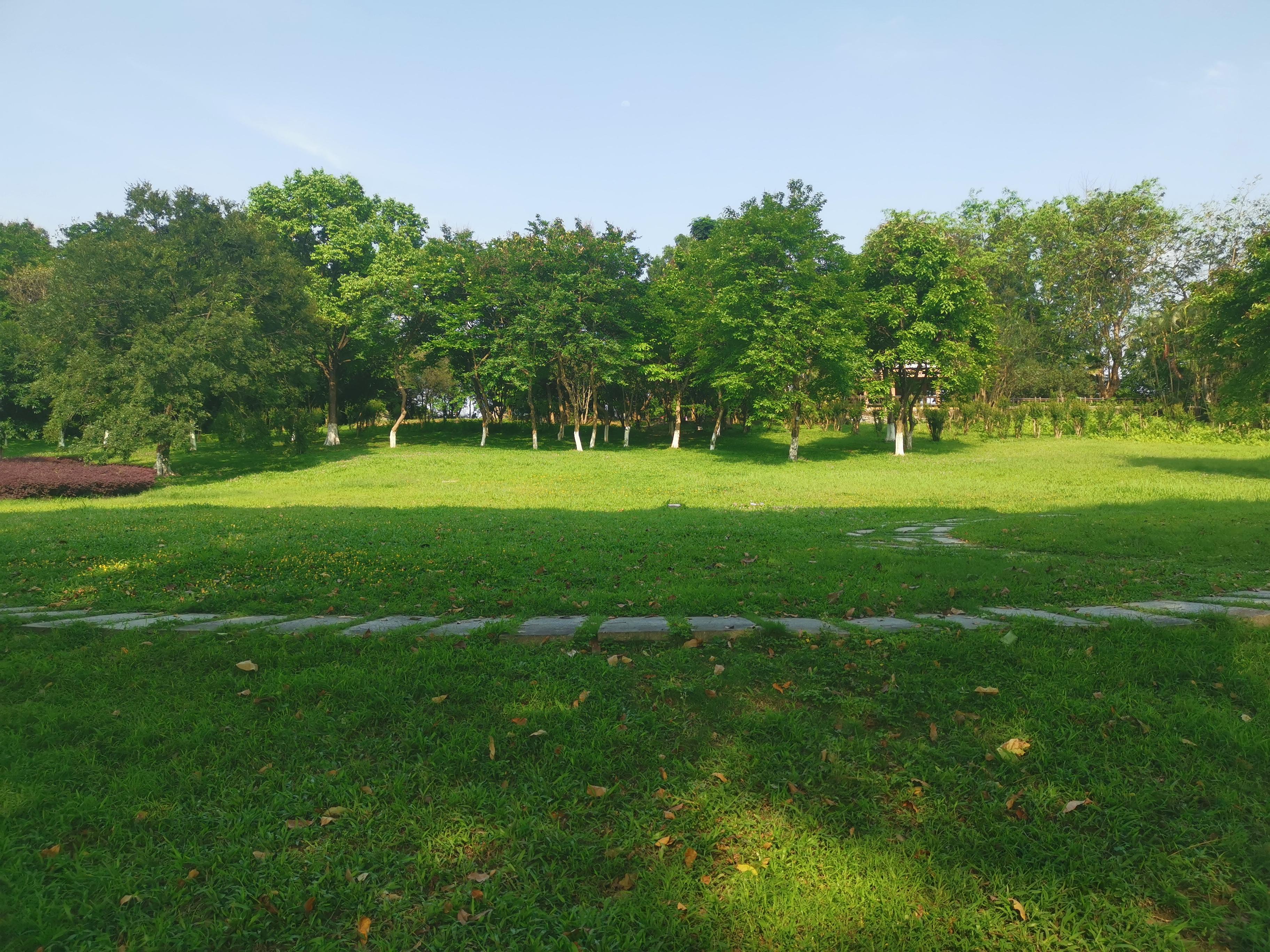 大夫山一日游自由行,大夫山一日游周记