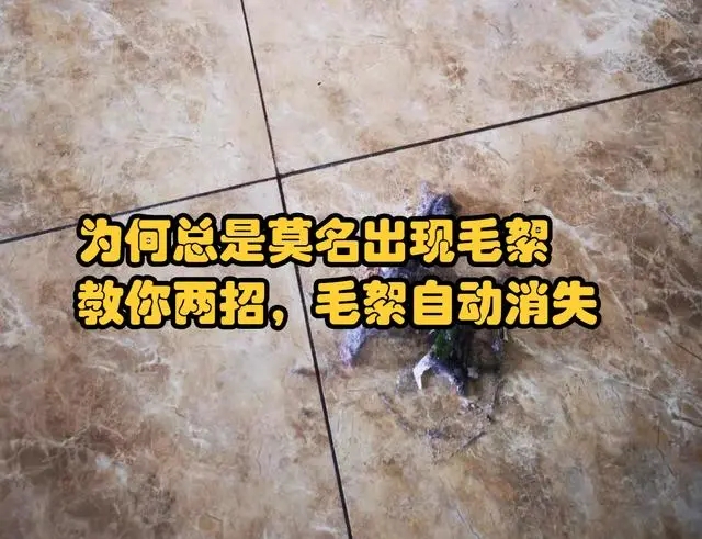 为什么家里毛絮很多如何处理,家中毛絮频频出现