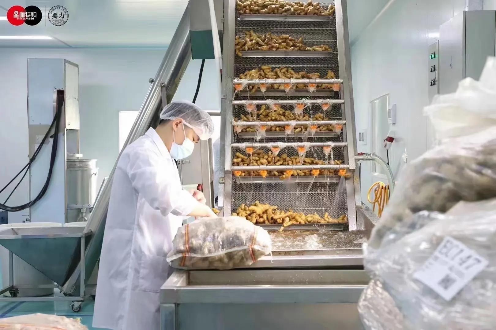 姜力洗发水代理利润,姜力洗发水招商