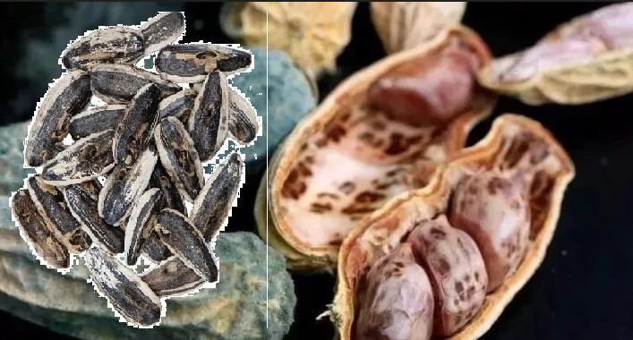 1毫克就致癌家中常用物品,一毫克致癌的食物有哪些