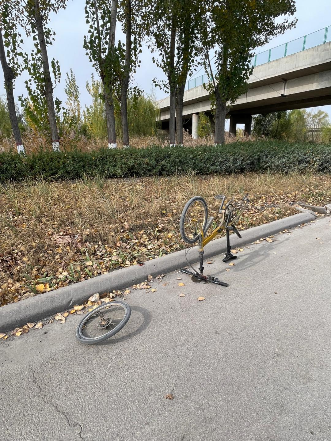 环渤海湾骑行记,环山东骑行日记青岛平度市