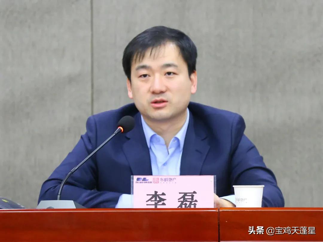 宝鸡东岭房地产,宝鸡东岭集团起家