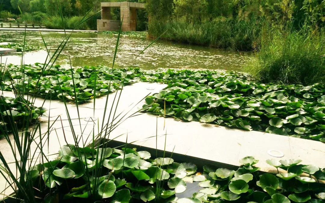 甲友心声——时光不老，终将一寸一寸地治愈我