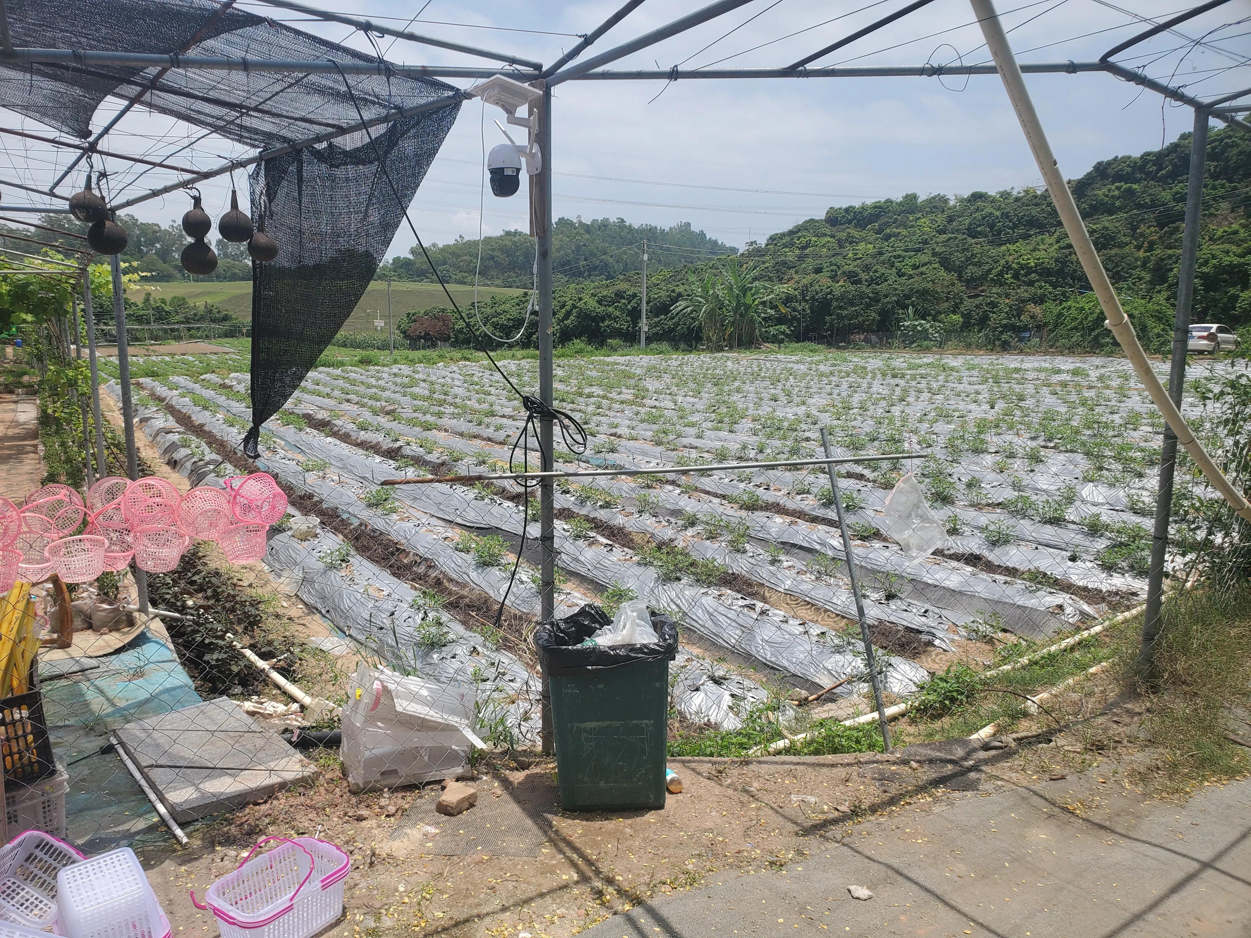 深圳踩坑亲子游之“女博士生态庄园”