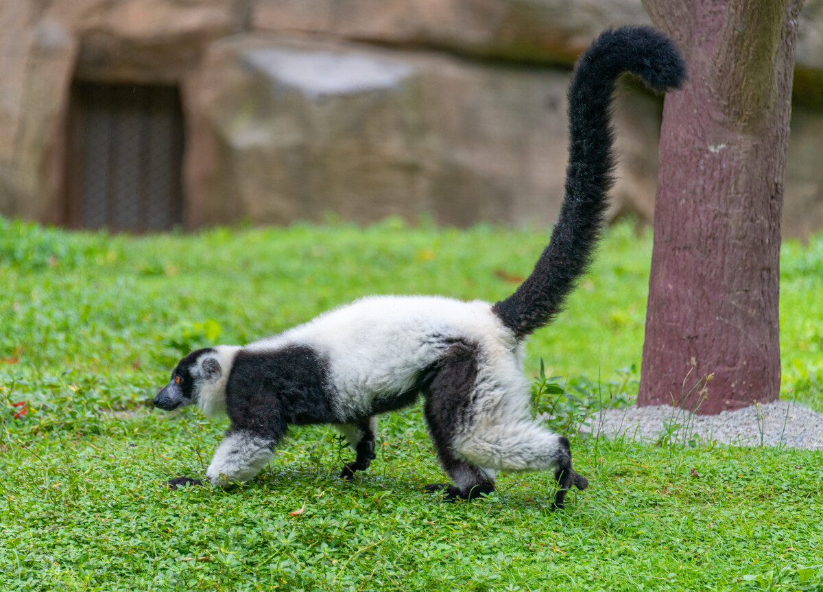 上海十大旅游景点直播,上海旅游景区实时直播