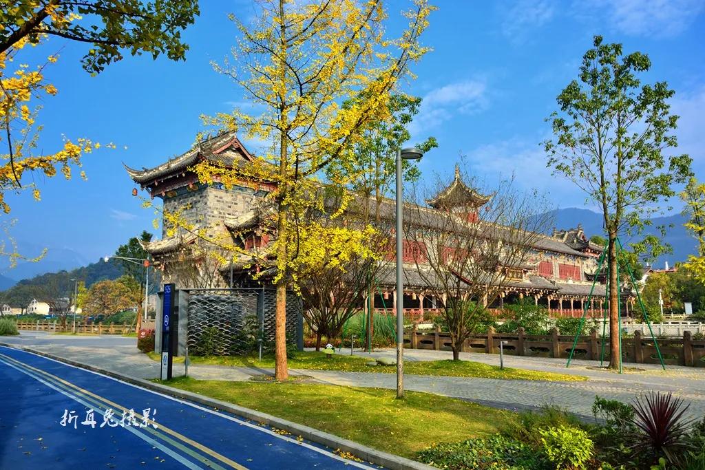 城市观察西安,城市观察厦门