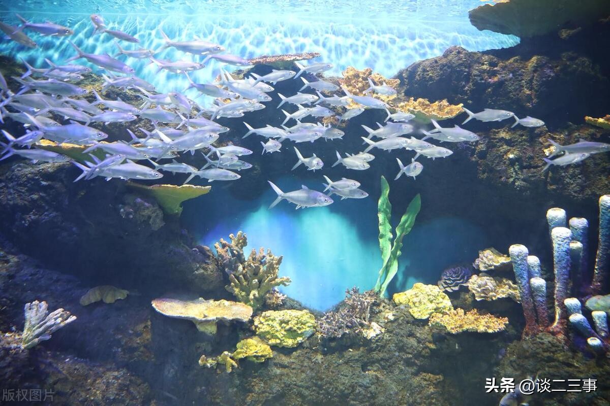 上海晚上十大必去免费景点,上海青浦十大旅游景点