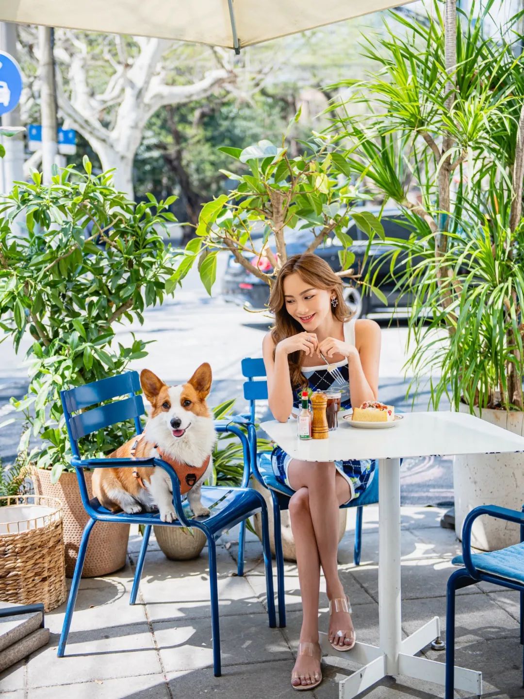 魔都宠物天地,魔都周边宠物友好景区