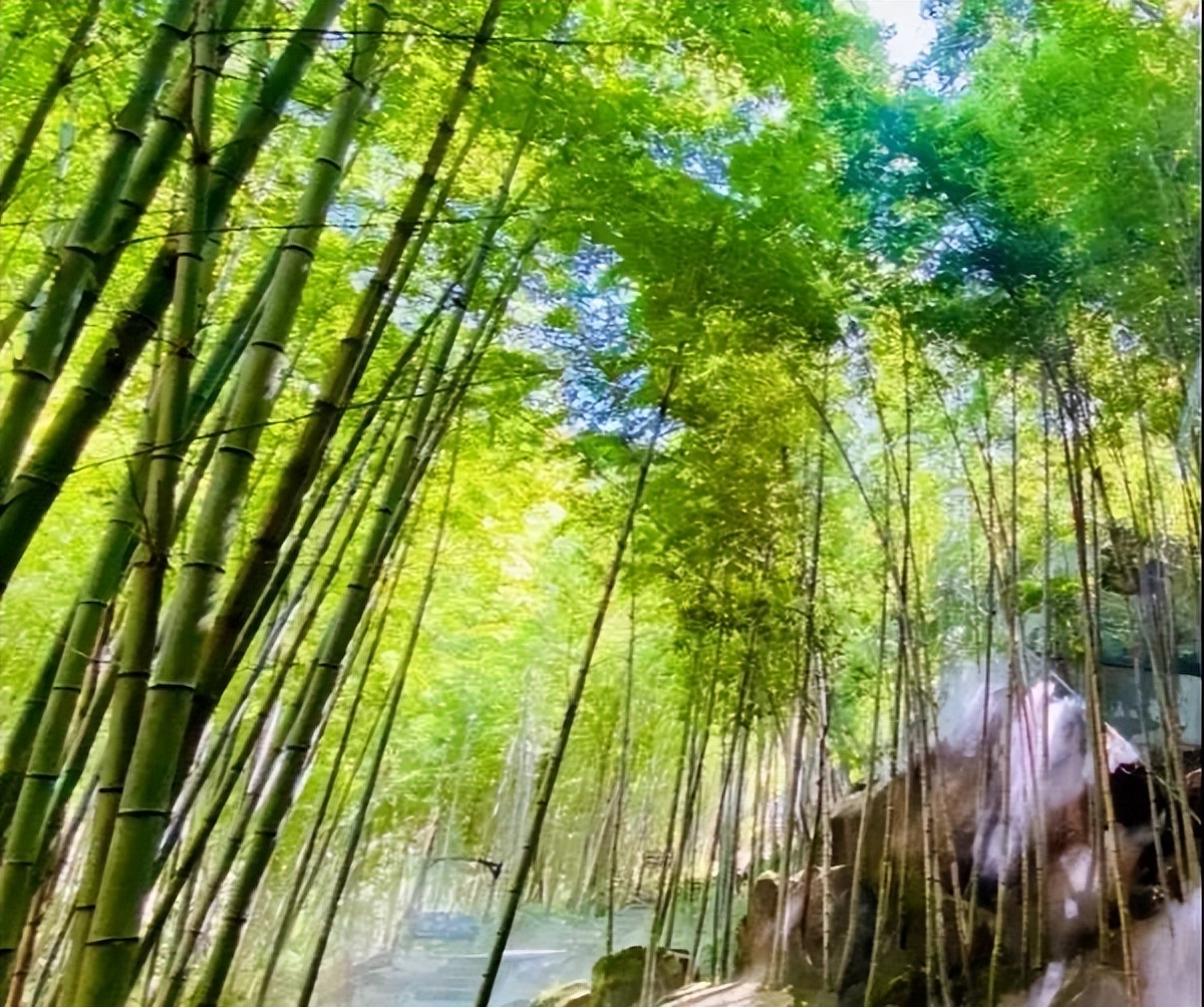 金华附近避暑的地方,浙江金华一年四季气候