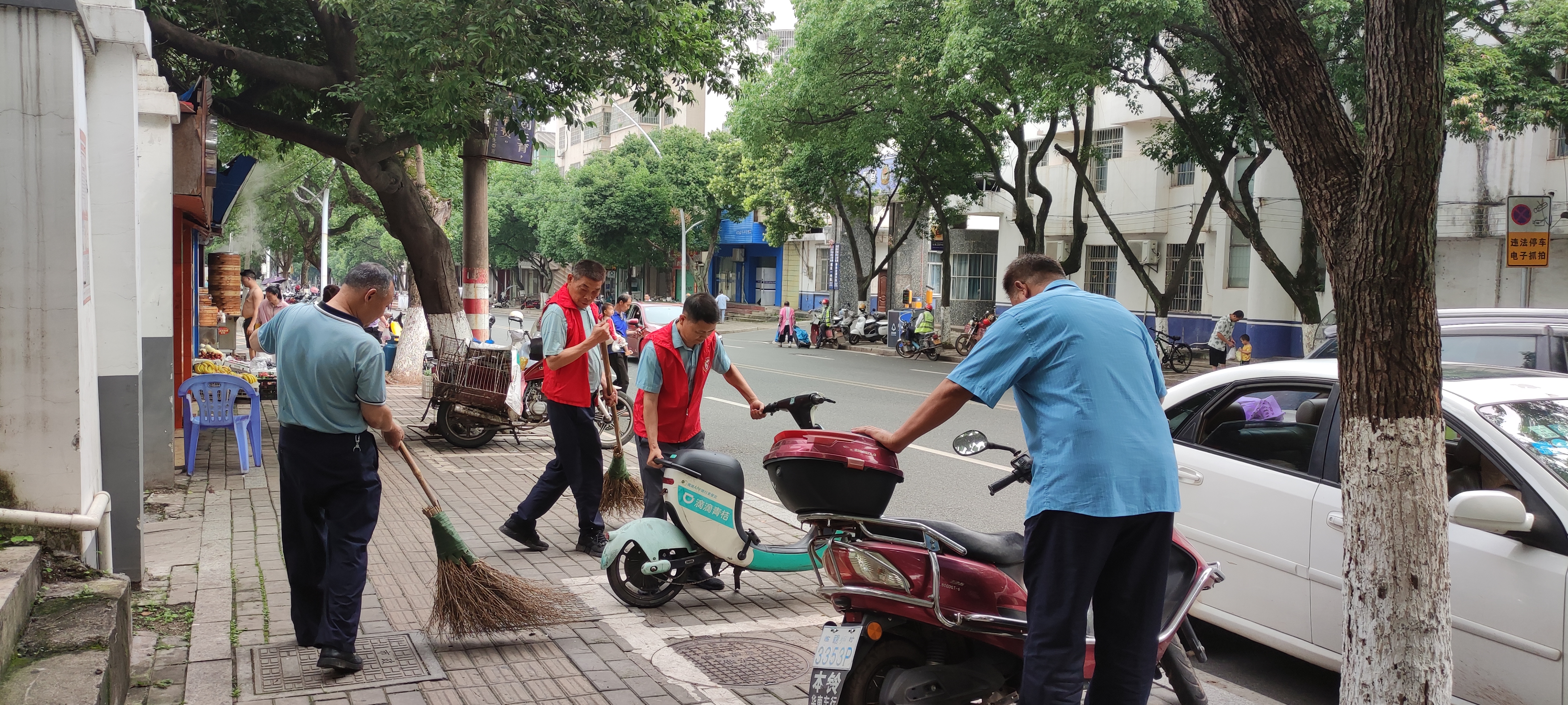 信丰县林政稽查大队:为“创建国家卫生县”不懈努力