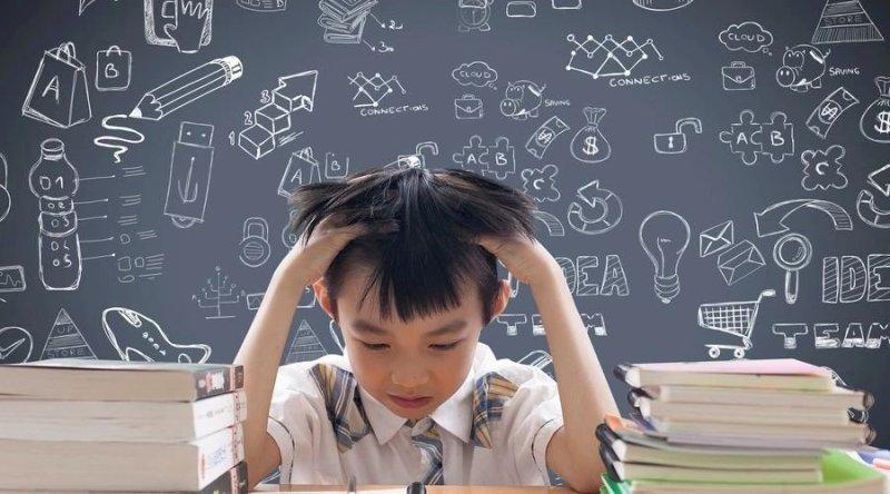 陪读小学3年的感想,陪读一年孩子学习进步了