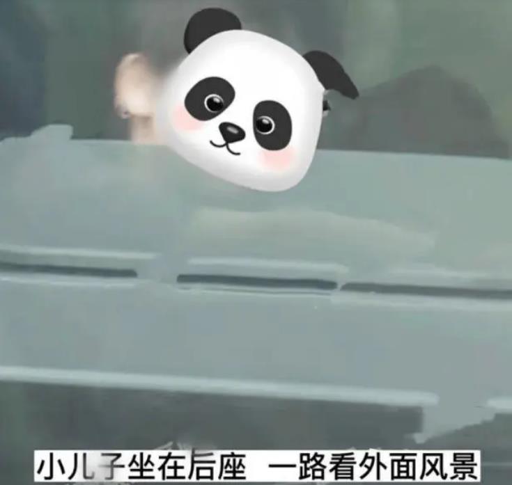 王宝强与冯清近日情况,王宝强和冯清最新消息关系