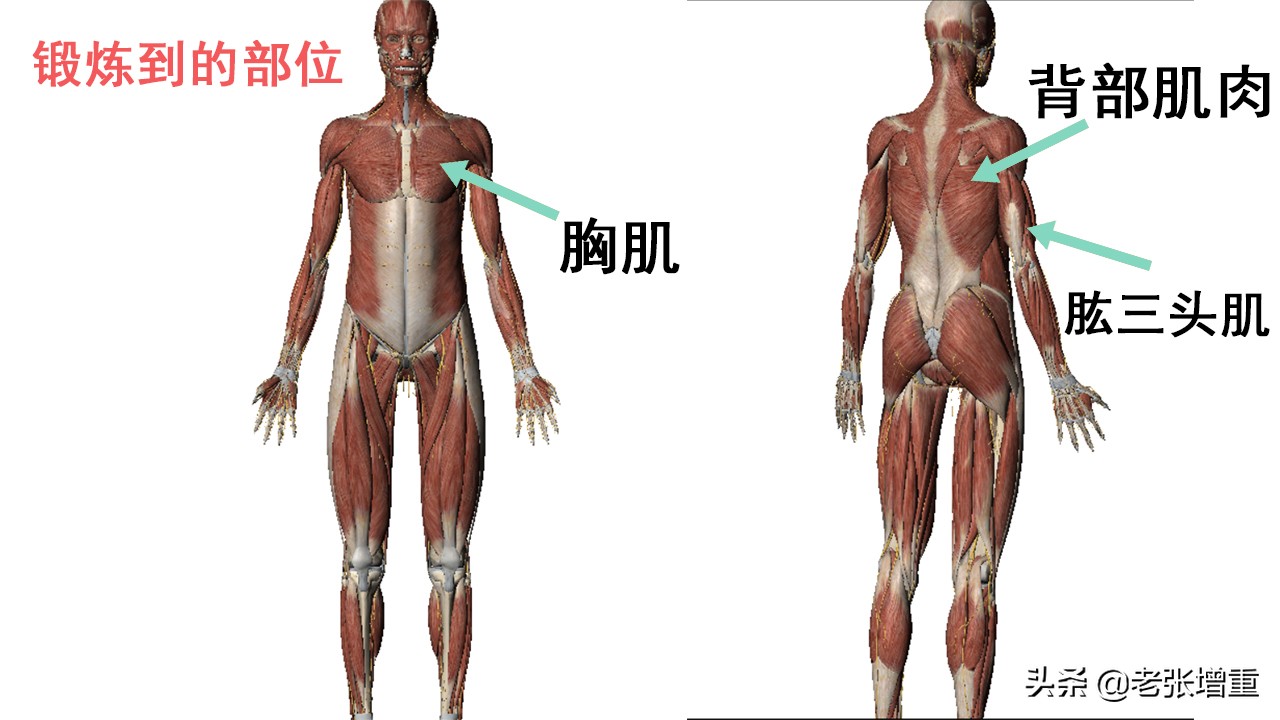 家庭健身器械一体机有用吗,家庭健身器材体验