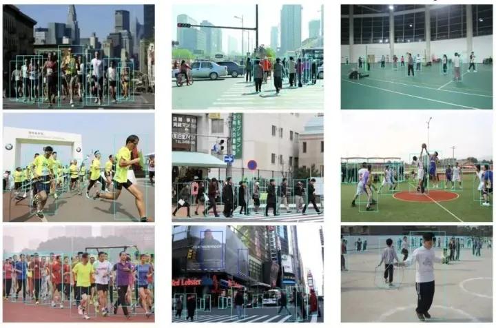 目标检测数据集采集,目标检测图像数据集