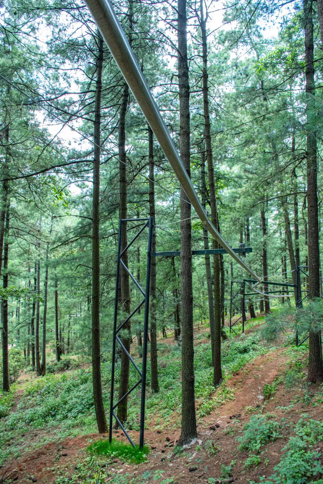 昆明周边旅游的好去处,常见的昆明周边度假攻略
