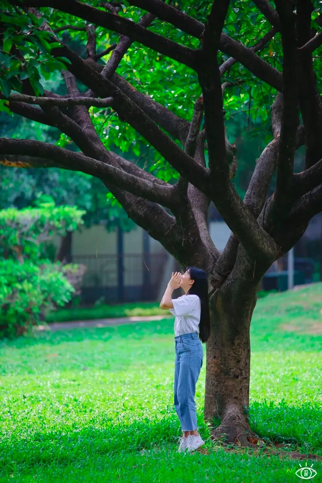 深圳地铁五号线十号线游玩地点,深圳地铁12号线最新最全线路图