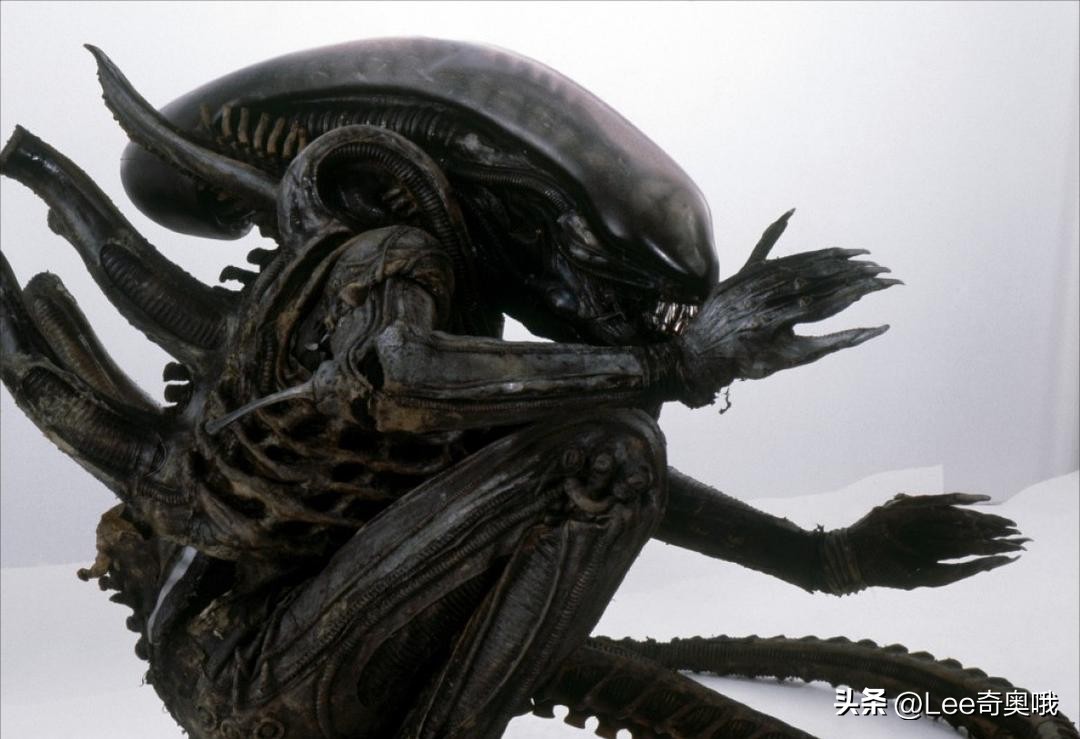 异形罗慕路斯开拍,异形罗慕路斯免费观看完整版