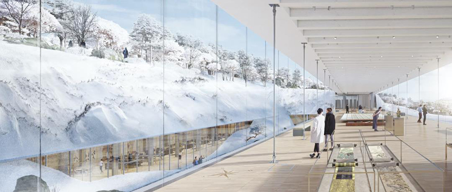 typology涓枃,typology