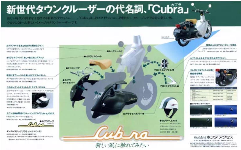 二轮考古学-本田幼兽编年史合集（1952-今）