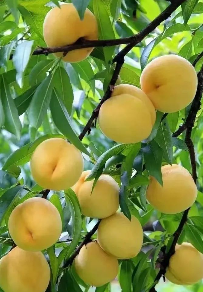 冬季天津户外徒步路线推荐,天津春天亲子徒步旅游路线推荐