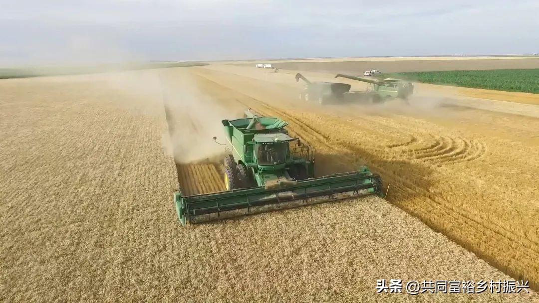 世界十大最顶尖的农产品强国,世界十大新型农业产品