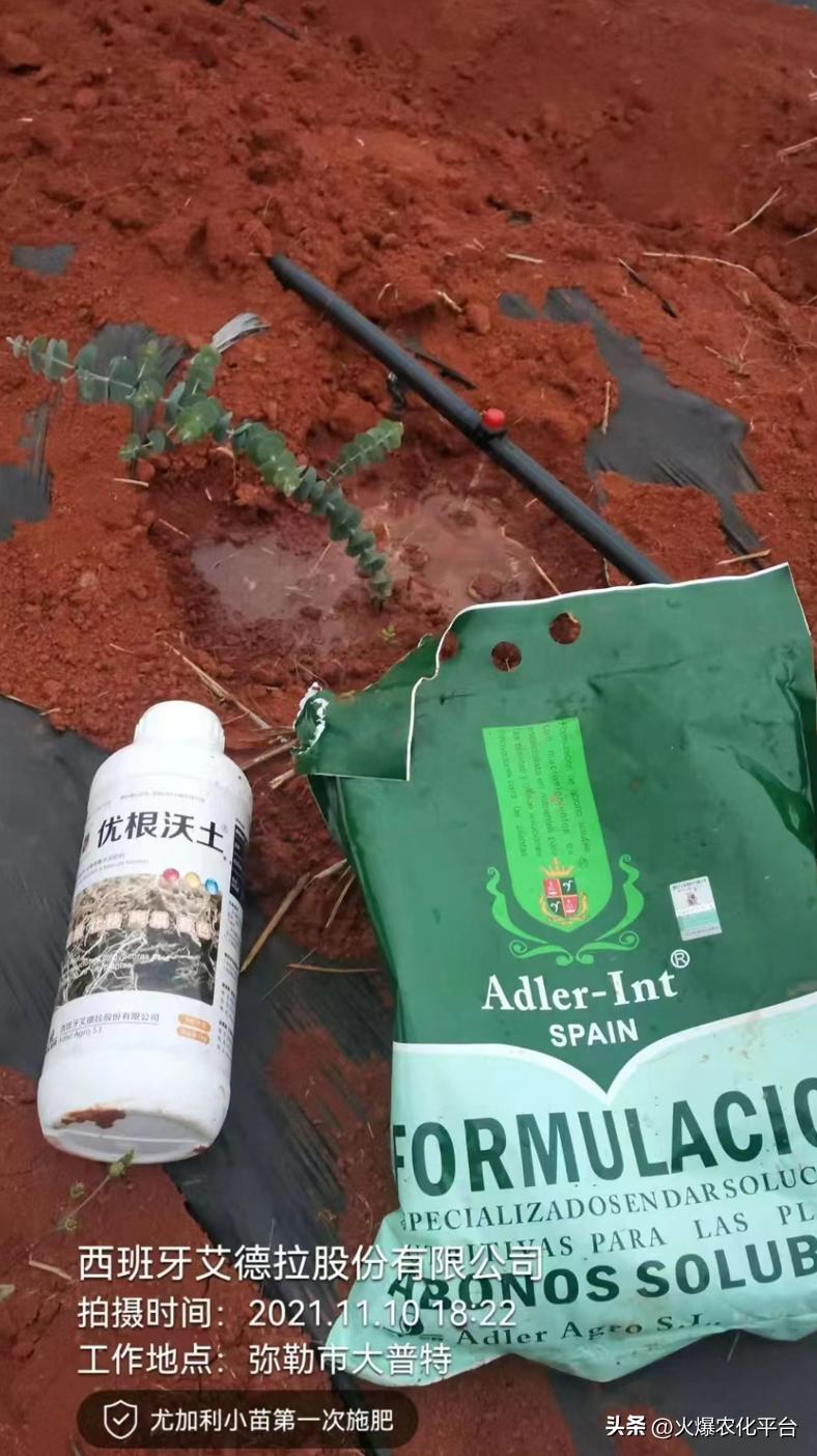 西班牙原装进口肥料艾德拉,西班牙艾德拉农肥料有限公司