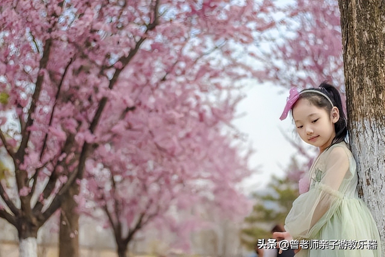 西安旅游攻略必去10个景点,西安旅游攻略必去景区