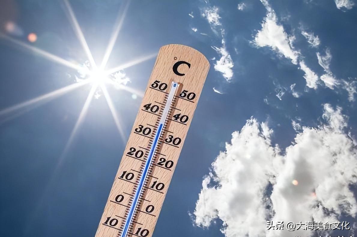 做什么冷饮最赚钱,今年最火的冷饮生意是什么