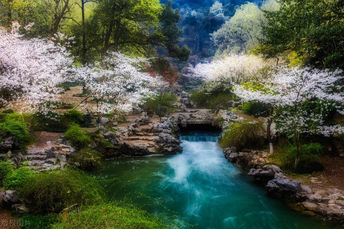 浙江省内赏花,浙江三月赏花